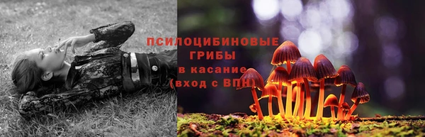 MDMA Аркадак